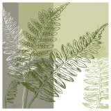Abstract Fern Posters by Hanna Vedder