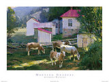 Morning Grazers Prints by Anthony Watkins