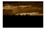 Horse Silhouette Sunset Giclee Print by Jim Tunell