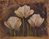 Triple Tulip II Posters by Rumi