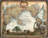 Mappemonde Affiche