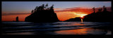 Olympic National Park, Washington state Affiches par Alain Thomas
