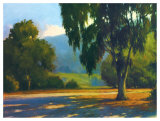 Eucalyptus Sunset Plakat av Brian Blood Eucalyptus Sunset Plakat av Brian Blood