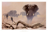 Away from the Herd Posters by Spencer Hodge