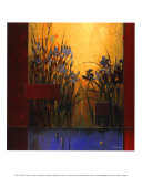 Iris Sunrise Prints by Don Li-Leger