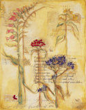 Fragile Petals Poster di Heather Ramsey