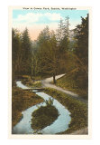 Cowen Park, Seattle, Washington ポスター