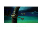Island Breeze Posters by Chris Simpson