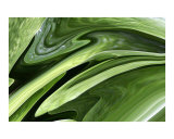 GROOVIN' INTO GREEN Lámina fotográfica por Kim Avent-DiLorenzo GROOVIN' INTO GREEN Lámina fotográfica por Kim Avent-DiLorenzo