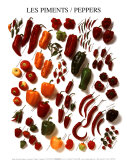 Paprika und Pfeffer Poster