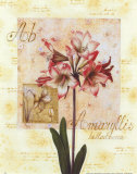 Amaryllis II Art by G.p. Mepas