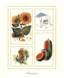 Summer Posters by Santa 