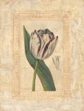 Tulipanes Bessa II Prints by Javier Fuentes