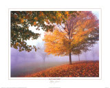 Autumn Mist Posters by Mike Jones