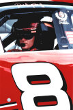 Dale Earnhardt Jr Prints