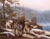 Stalking the Bluffs Affiches par Kevin Daniel