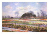 Tulip Fields at Sasenheim Art par Claude Monet