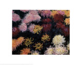 Chrysanthemum, 1897 Print by Claude Monet
