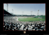 Fenway Park Prints by Darryl Vlasak