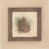 Pomme de Pin II Prints by Vincent Jeannerot