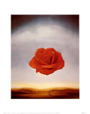 La rosa meditativa, ca. 1958 Póster por Salvador Dalí