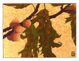 Rama de roble Póster por Anita Munman