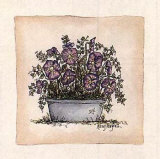 Violetas Pósters por Mary Hughes Violetas Pósters por Mary Hughes