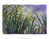 Les iris Prints by Claude Monet