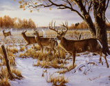 Cautious Crossing Poster di Wilhelm J. Goebel Cautious Crossing Poster di Wilhelm J. Goebel