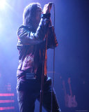 The Strokes Photo