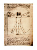 Vitruvian Man, c.1492 Poster by Leonardo da Vinci 