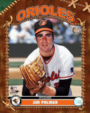 Jim Palmer Foto