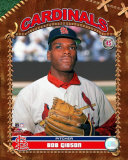 Bob Gibson Photo