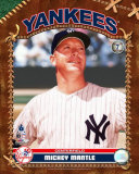 Mickey Mantle Photographie