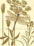 Nature's Curiosities VIII Posters av Chad Barrett Nature's Curiosities VIII Posters av Chad Barrett