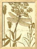Nature's Curiosities VIII Art by Chad Barrett