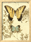 Nature's Curiosities VI Prints by Chad Barrett