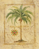Cocoanut Palm Láminas por Tara Blomquist Cocoanut Palm Láminas por Tara Blomquist