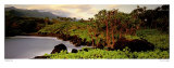 Haleakala Rim Posters by Susan Drinker
