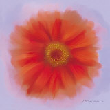 Red Dahlia Posters by Anthony Morrow