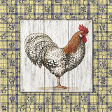 Rooster III Affiches par Lisa Audit