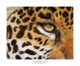 Camouflage Posters by Lucie Bilodeau