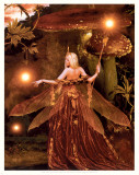 The Red Fairy Posters par Howard David Johnson