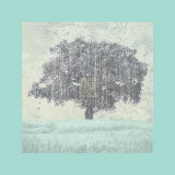 Wiesenlandschaft IV Poster von Bill Philip