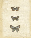 Botanical Butterflies II Prints by Katie Pertiet