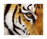 Oeil du tigre Posters par Lucie Bilodeau