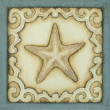 Cottage Starfish Arte por Kim Lewis