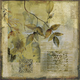 Botanical Motif I Prints by Augustine (Joseph Grassia) 