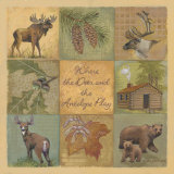 Deer and Antelope Prints by Anita Phillips