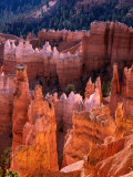 Rock Formations, Sunset Point, Bryce Canyon National Park, U.S.A. Photographic Print by Curtis Martin